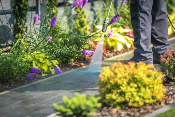 Best Sidewalk and Walkway Cleaning  in Sanford, FL