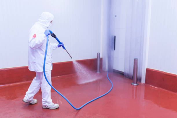 Best House Exterior Washing  in Sanford, FL